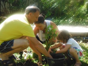 Planting a tree @ the Harmony Hotel