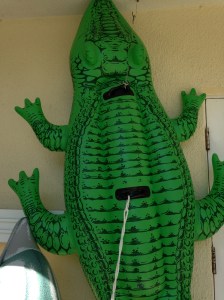 A key west croc
